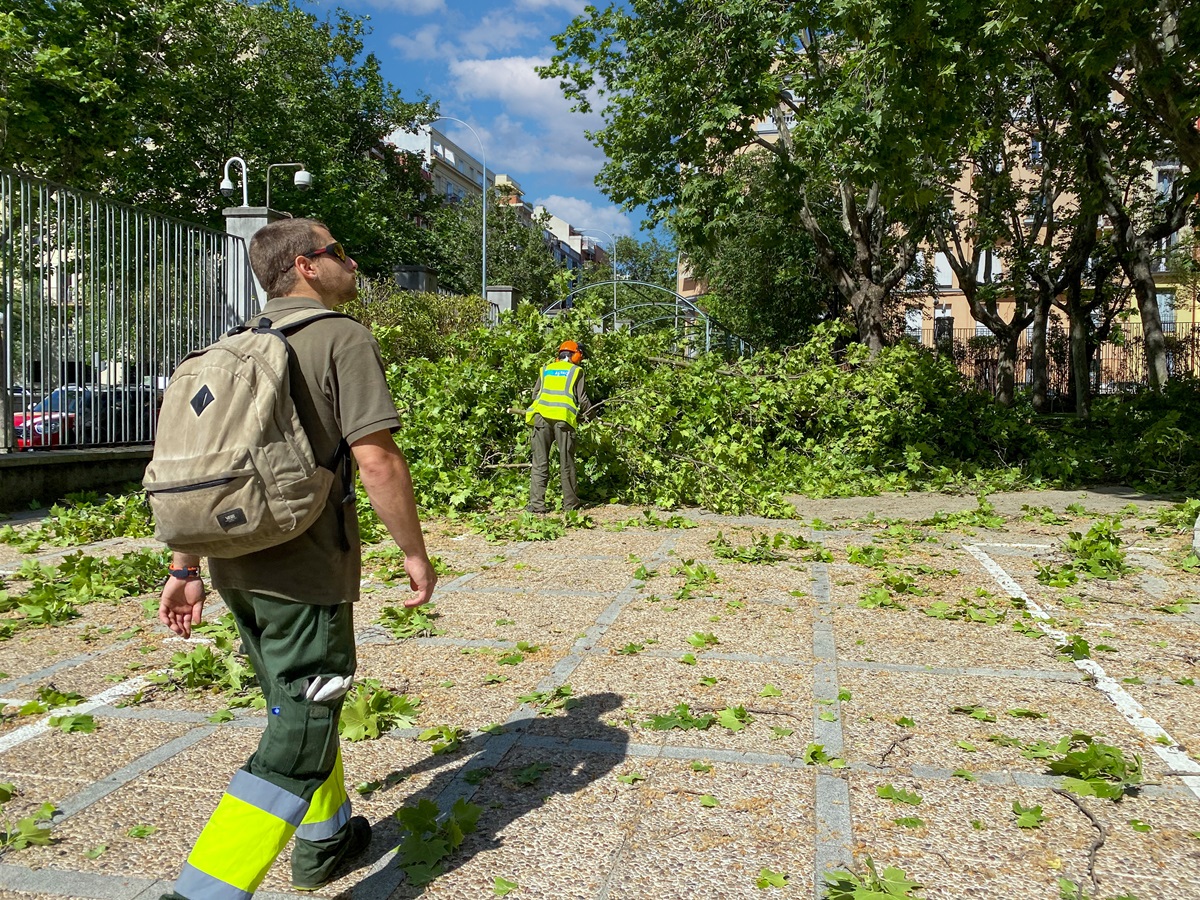 Trabajadores