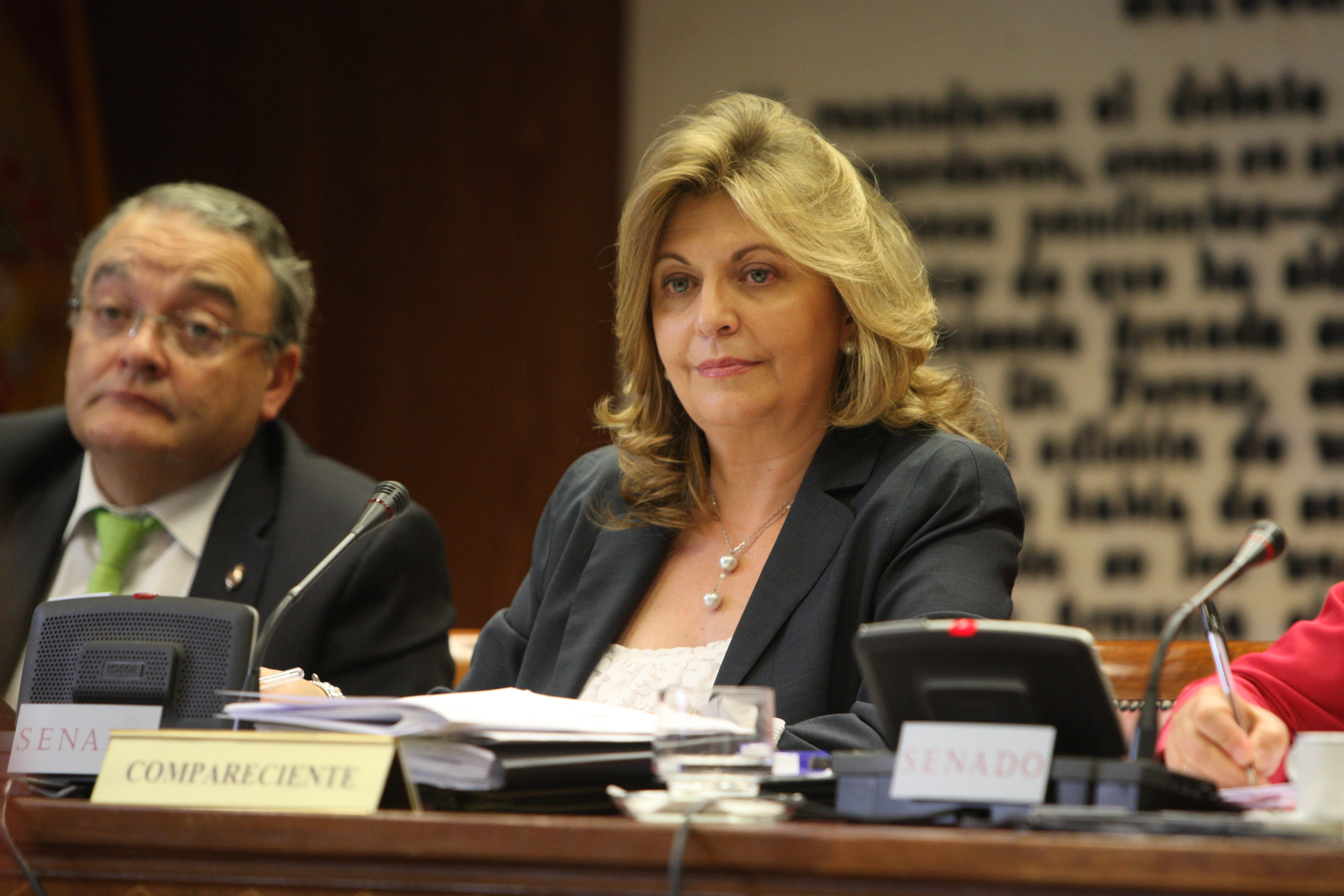 Engracia Hidalgo durante su intervención en el Senado