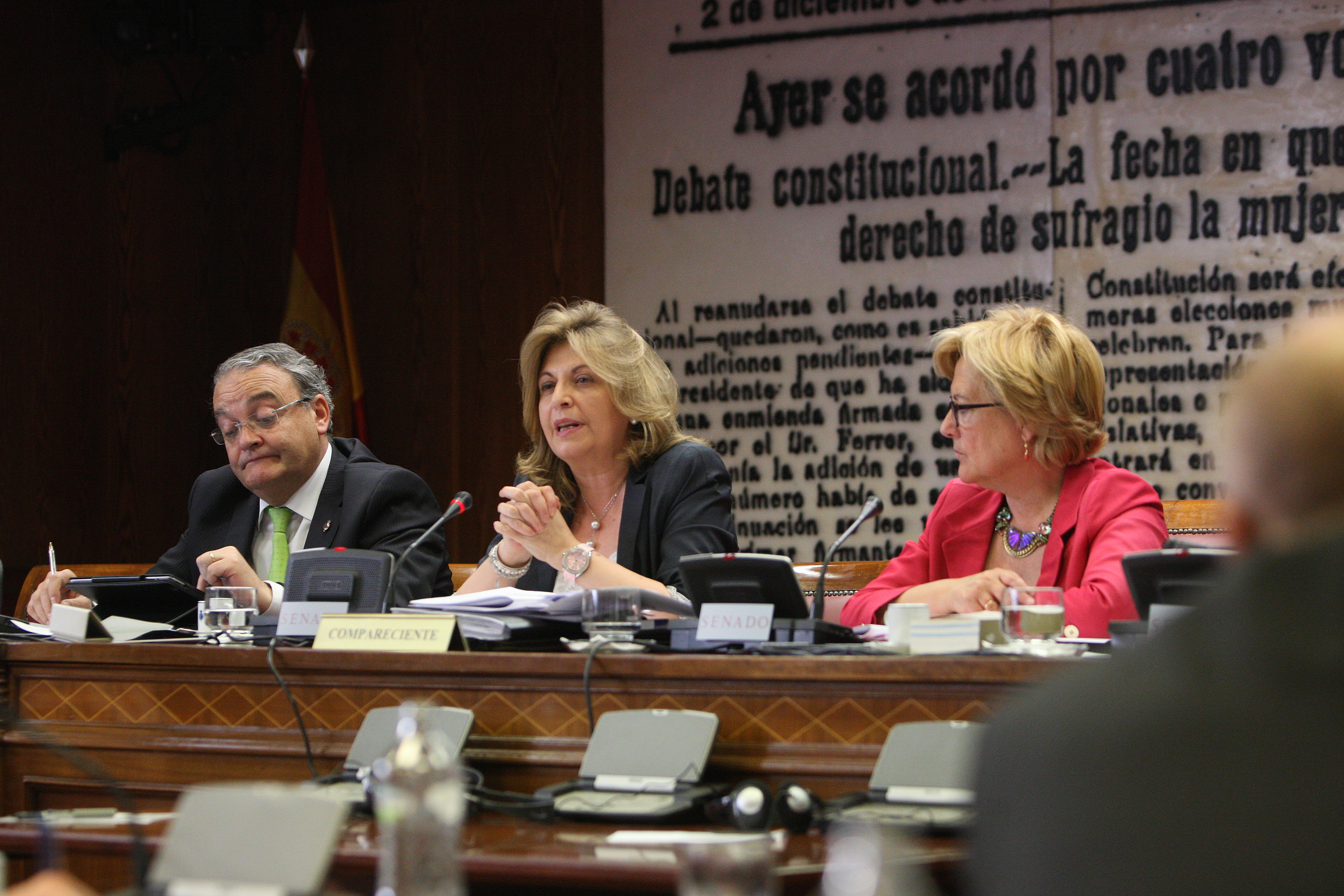 Engracia Hidalgo durante su intervención en el Senado