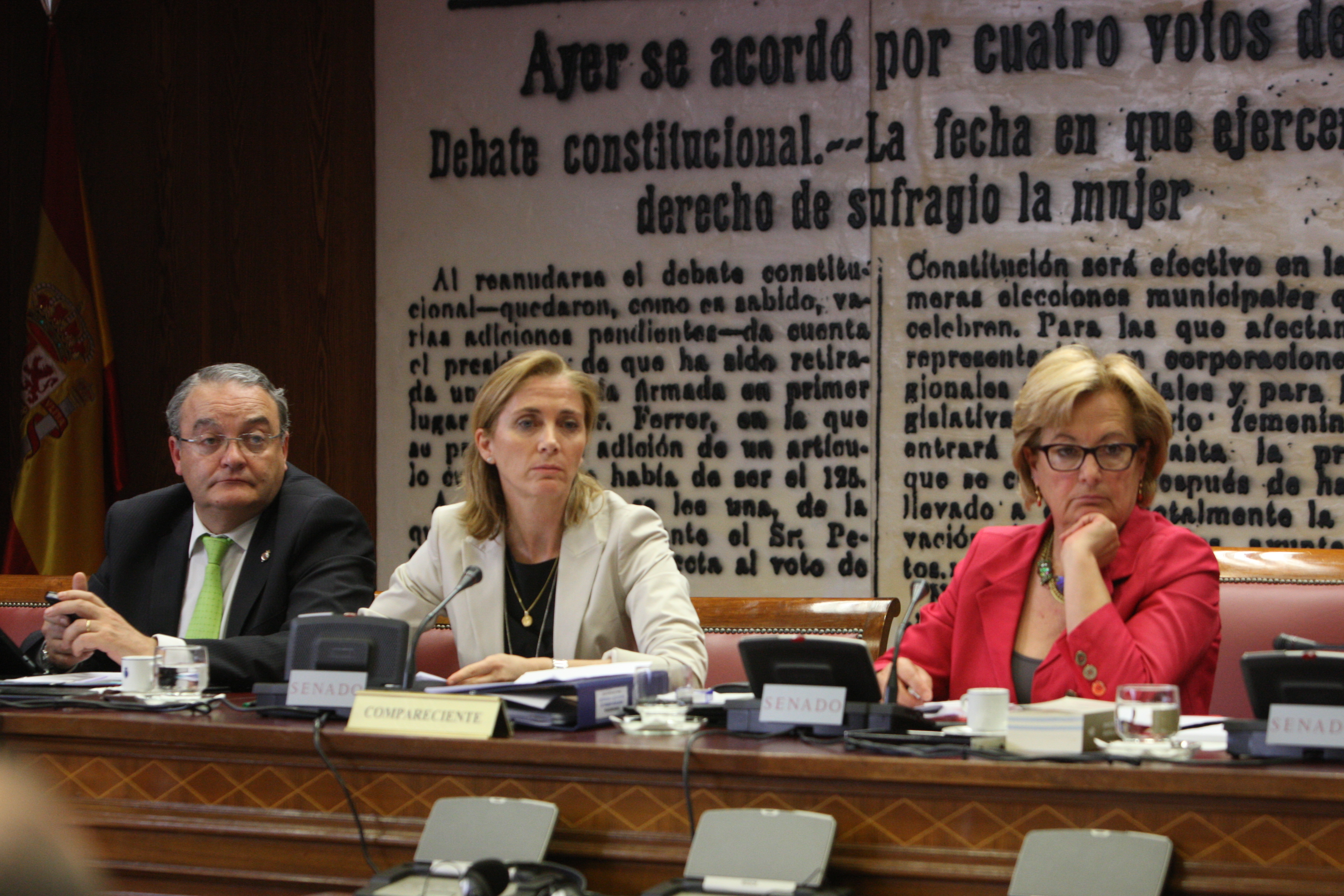 Marina del Corral durante su intervención en el Senado