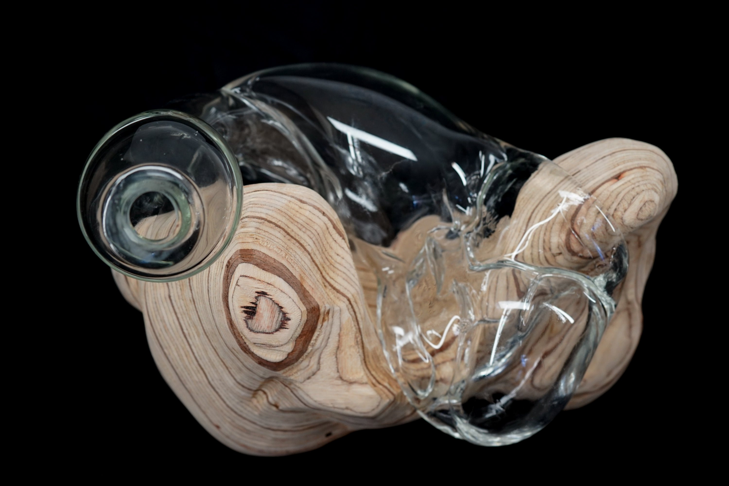 01, 2022. Dia Muñoz.