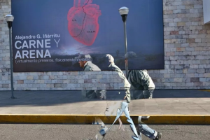 Vista en miniatura